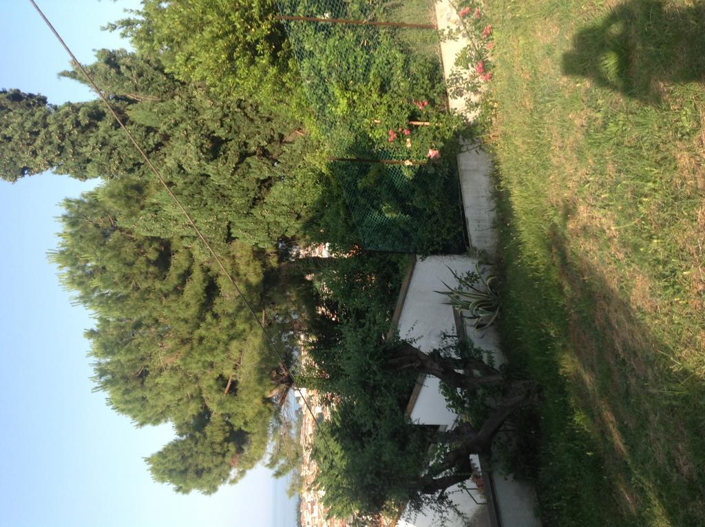 B&B Villa Aersa Montesilvano Marina Dış mekan fotoğraf